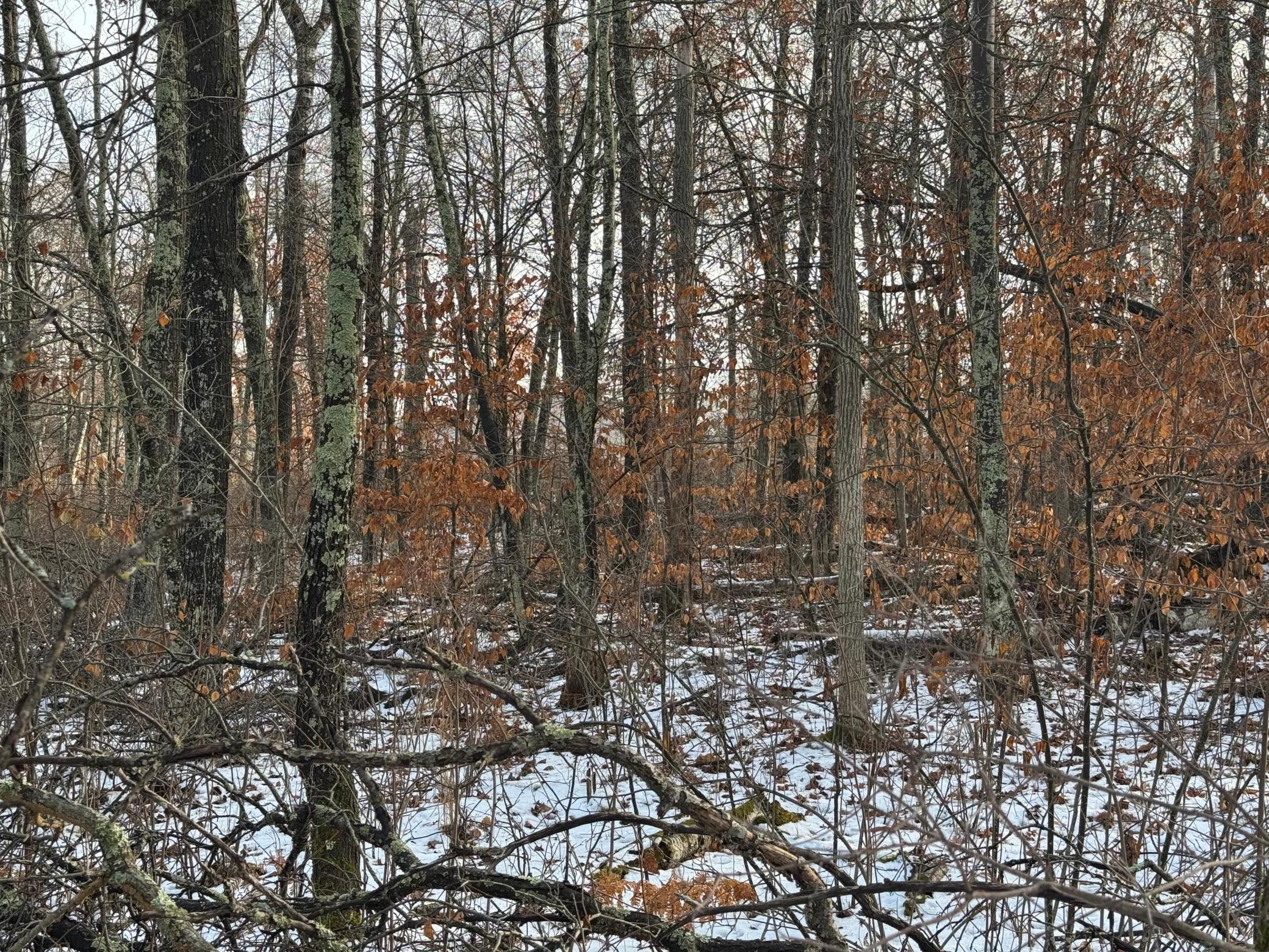 Lot 43 Ranchette Drive