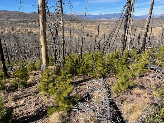 Lot 1741 Mathlide Place