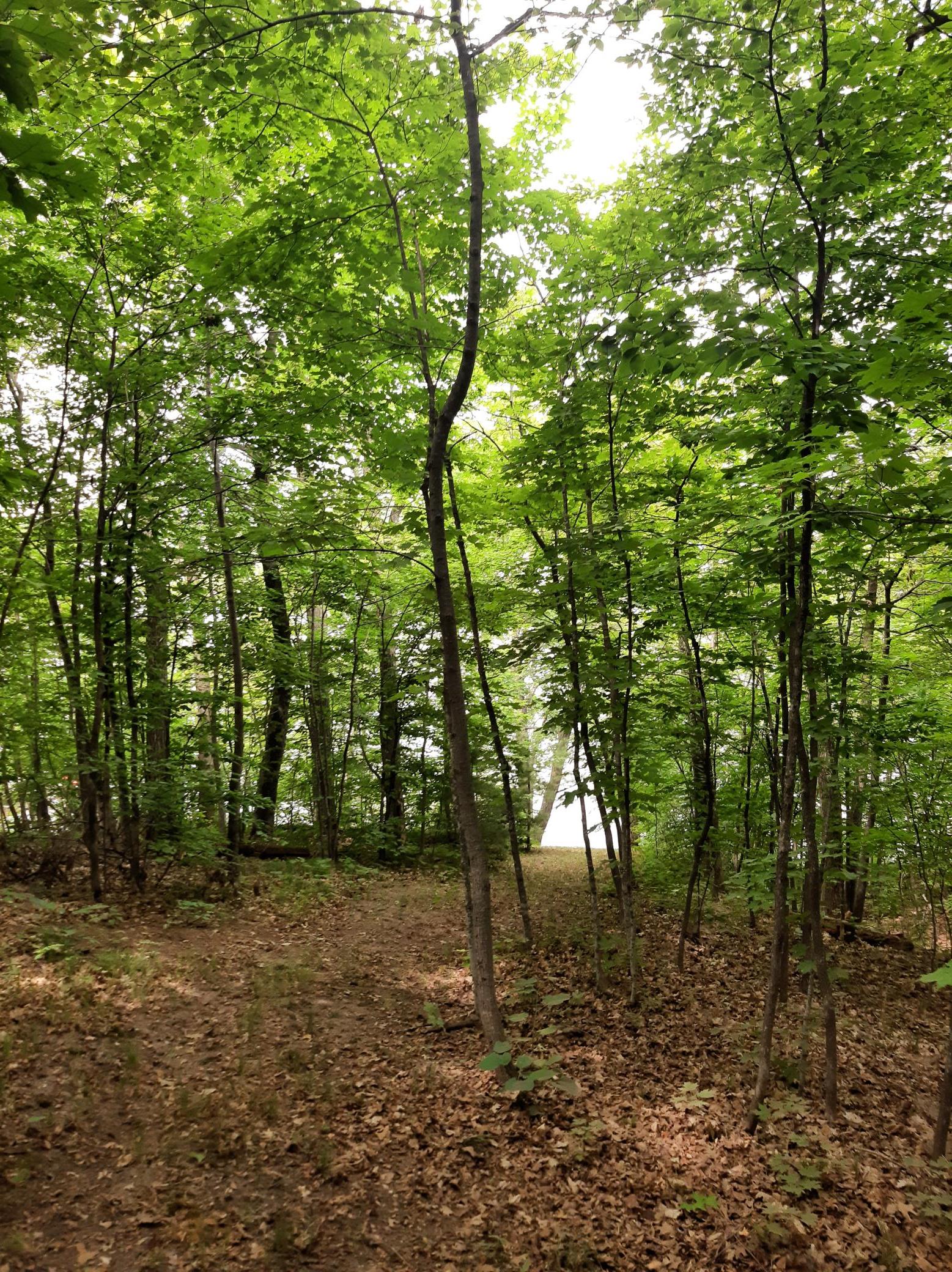 9879 Maple Ridge Road