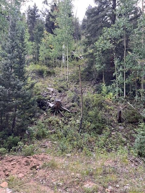 Lot 6184 Ryland Road