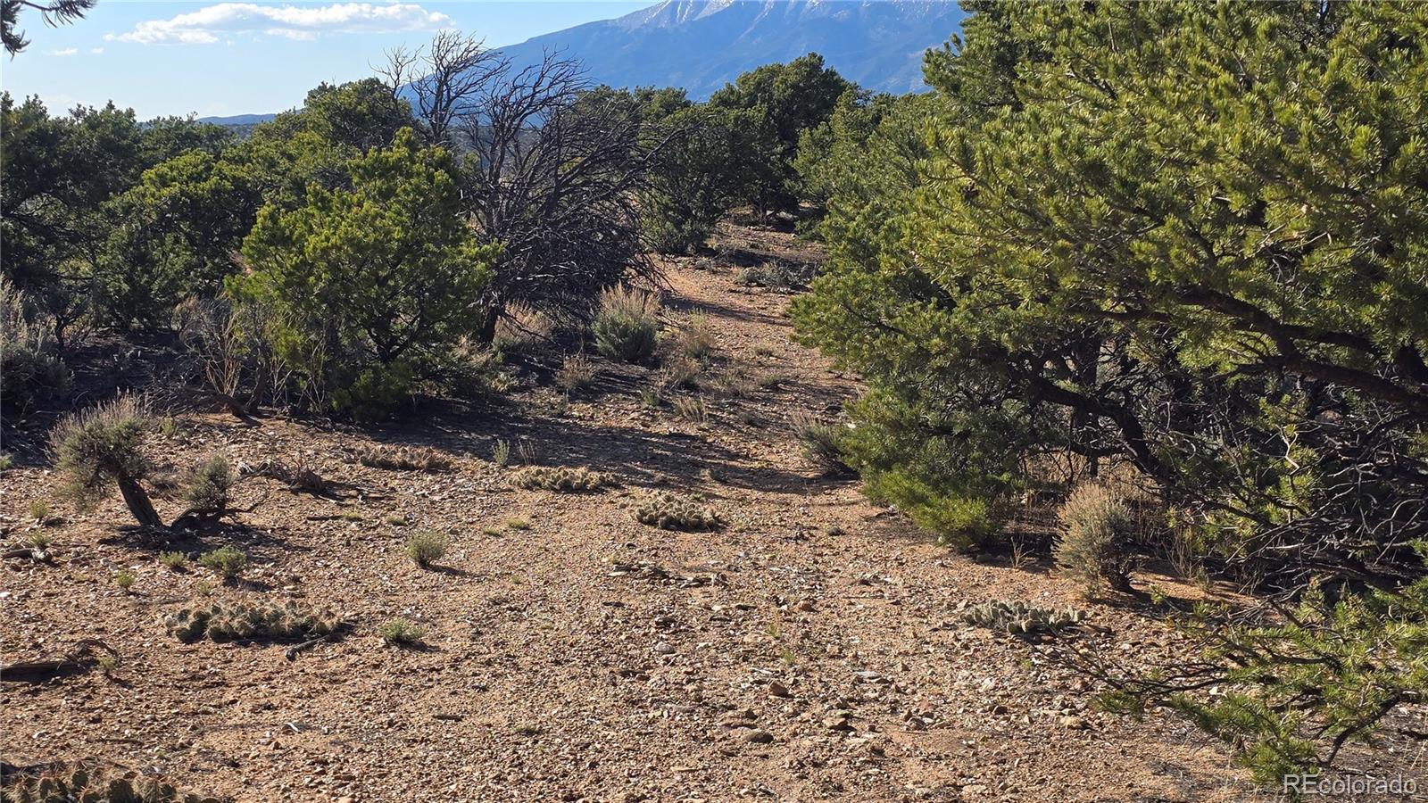 Lot 3886 & 3887 Galloway Road
