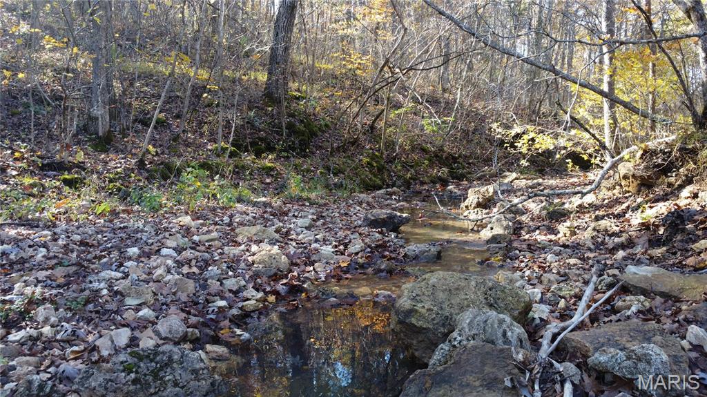 10256 Christina Trail