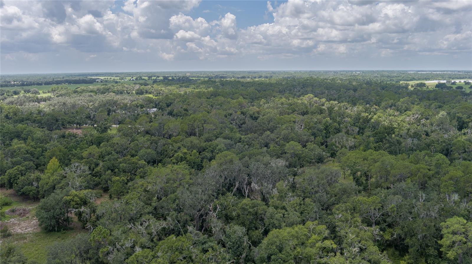 32200 Taylor Grade Road