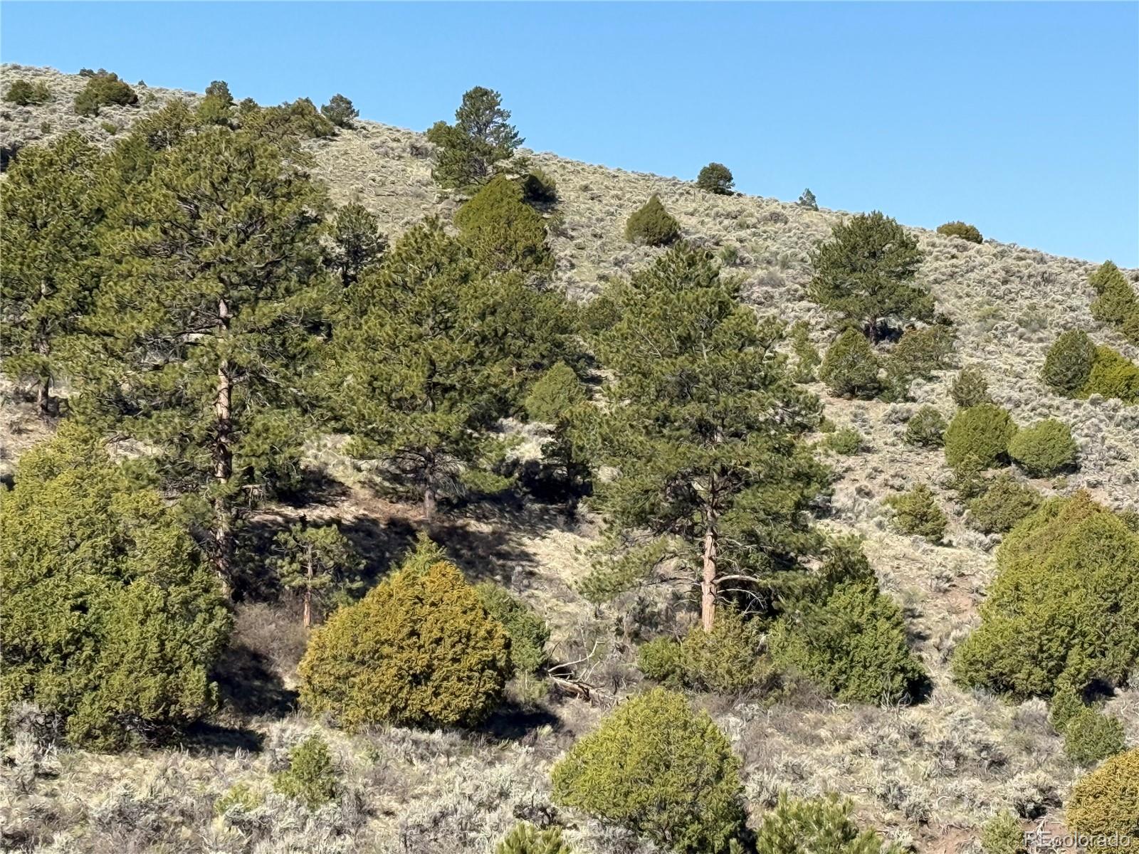 Lot 4918 Jaffe Road