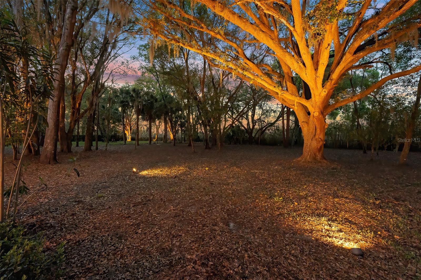 7341 Bella Foresta Place