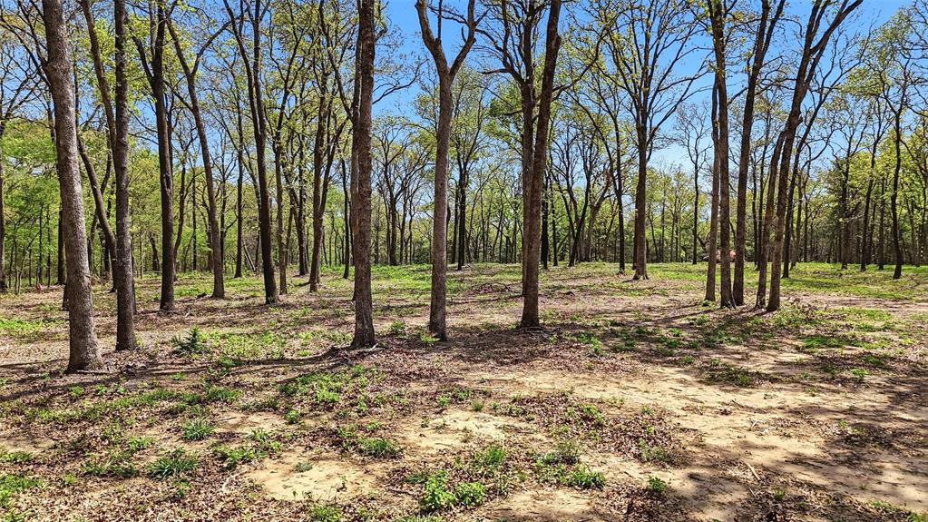 Lot 13 Buck Trail Road