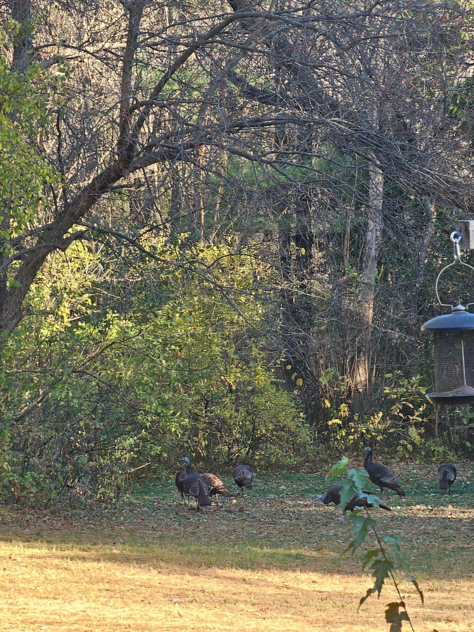 146 Green Spring Road