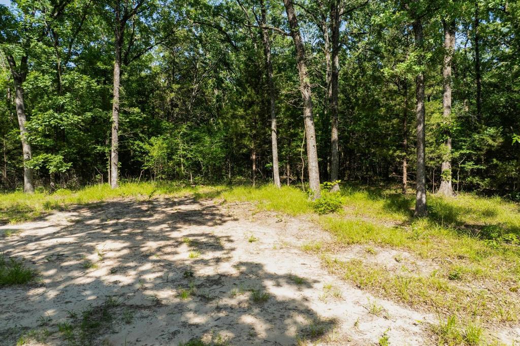 2112 Red Cedar Trail