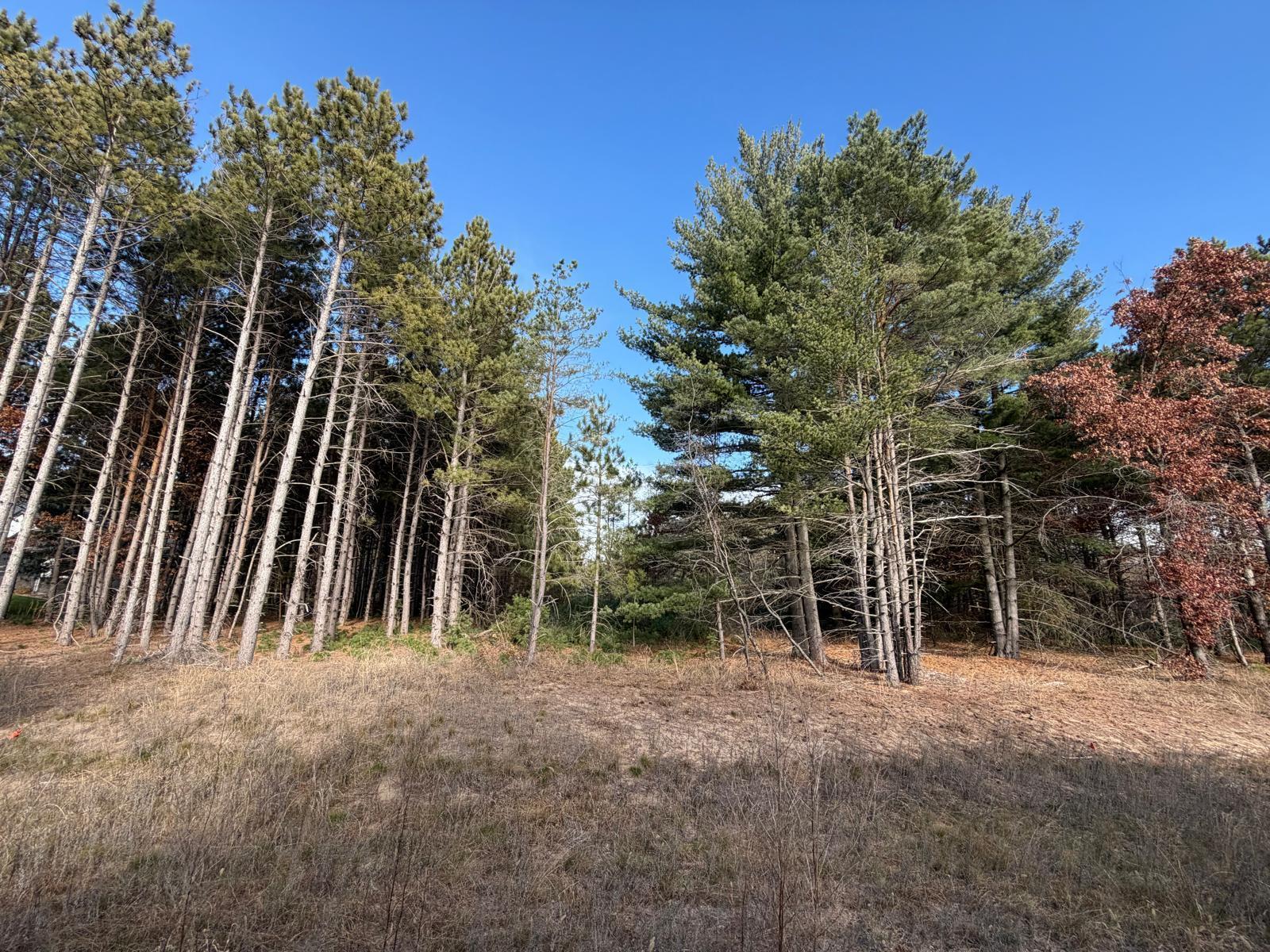 Escape to the perfect blend of nature and convenience!Discover this prestigious acreage development featuring 2.5 – 4+ acre wooded lots, each offering privacy, space, and the beauty of nature right outside your door. Build your dream home surrounded by towering trees and peaceful wildlife, just minutes from Big Lake and Zimmerman for shopping, dining, schools, and parks.Backing up to the Sand Dunes State Forest with direct access from this neighborhood, and right across the street, the Sherburne National Wildlife Refuge with access to thousands of acres, this community offers a rare opportunity to enjoy country living with city convenience — ideal for families, hobbyists, or anyone craving extra room to roam.With over half the lots already sold, now’s your chance to claim your piece of this sought-after neighborhood.