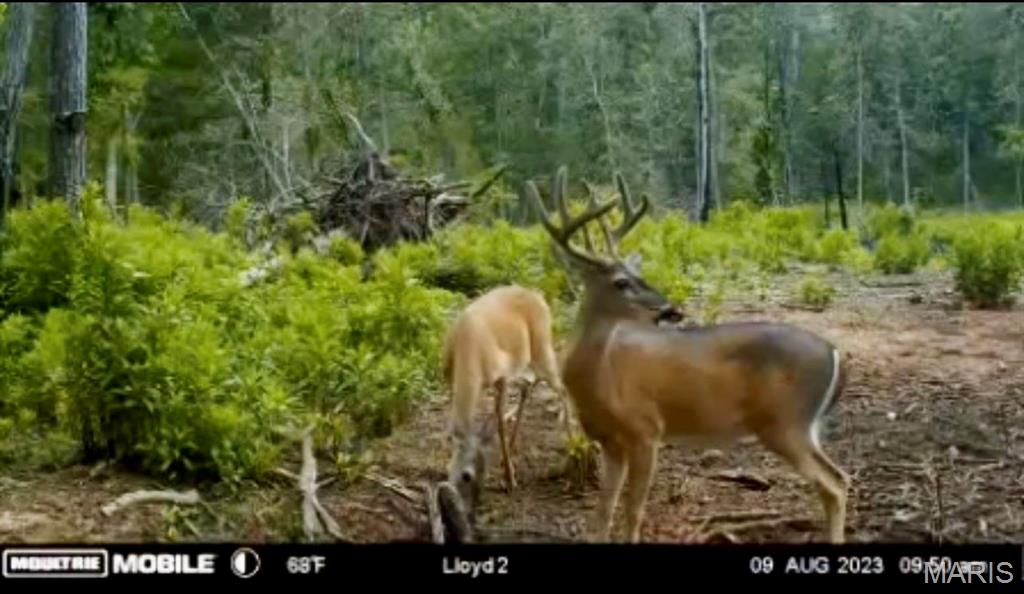 382 Furnace Creek Road