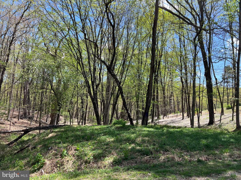 12 Wooded Unrestricted Acres -  located along a county maintained road on the Southern end of Morgan County. Hunt, Camp, Ride ATV, build your dream home.