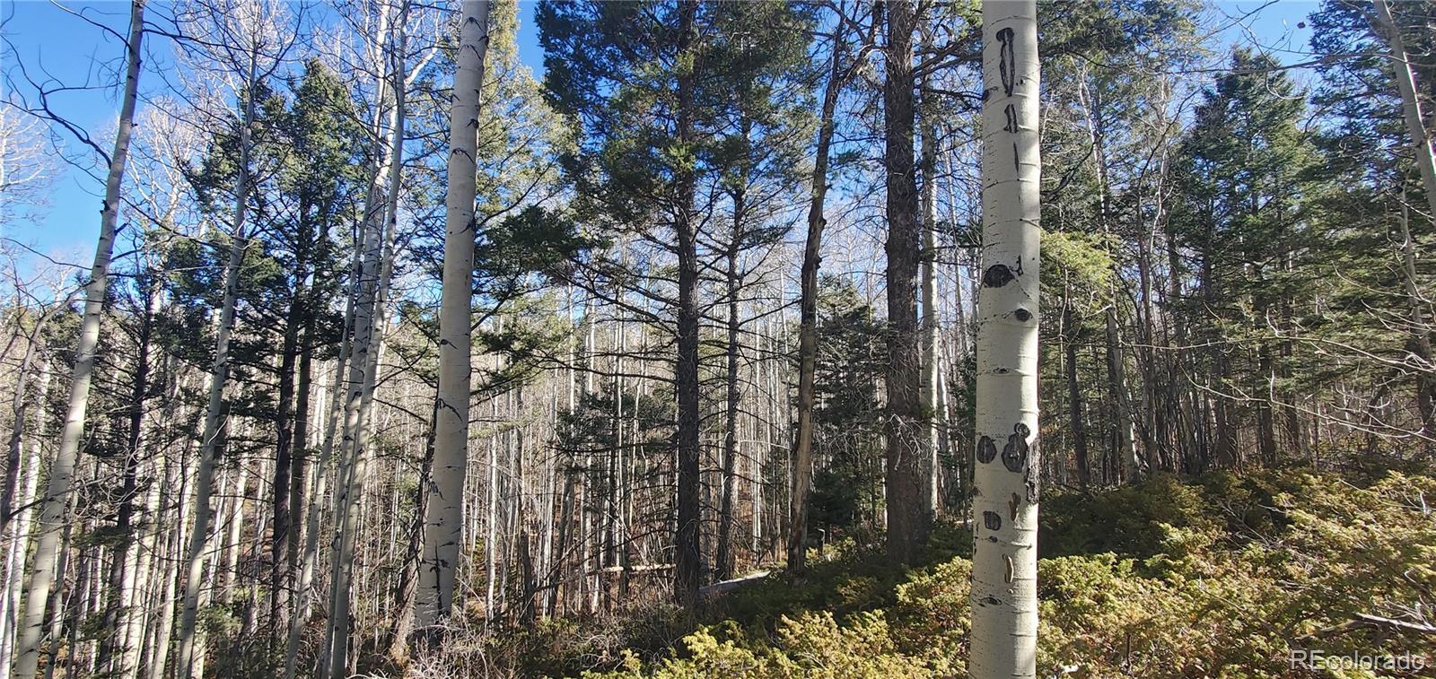 Lot 6060 Forbes Road
