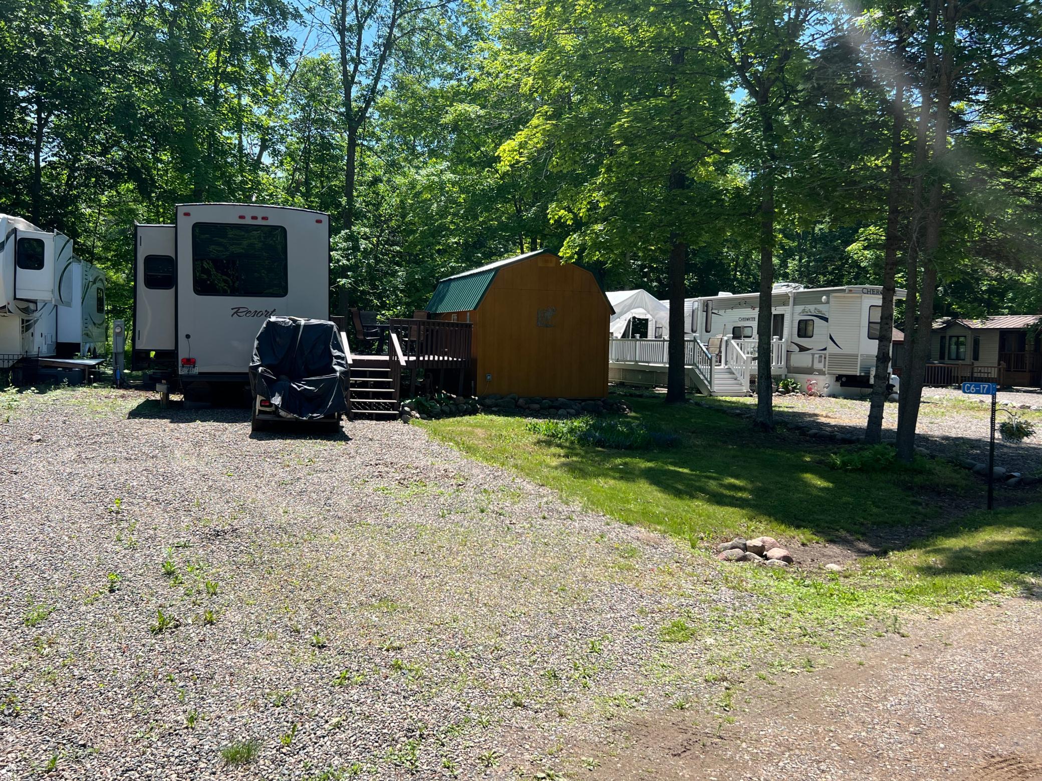 C6-17 Sherwood Forest