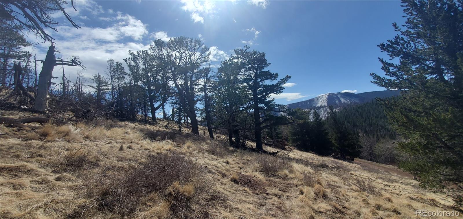Lot 2740 Newman Place