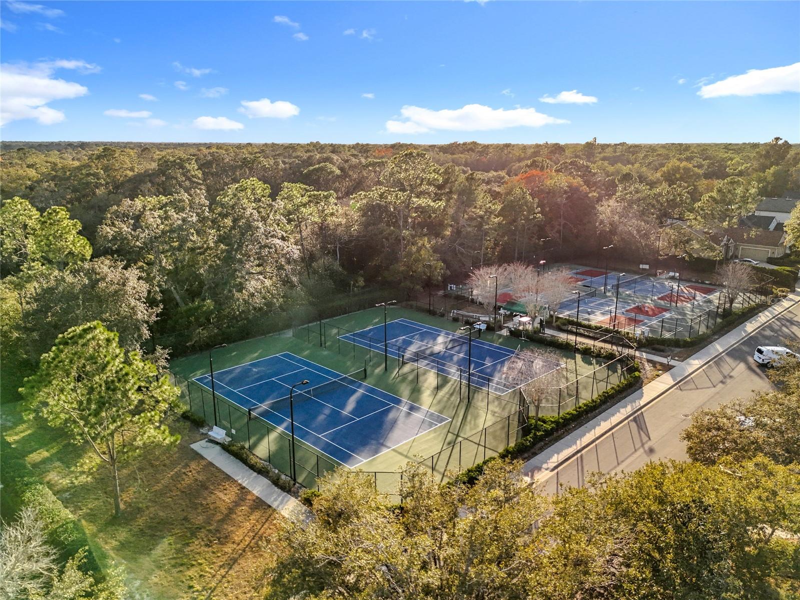 295 Northcote Court
