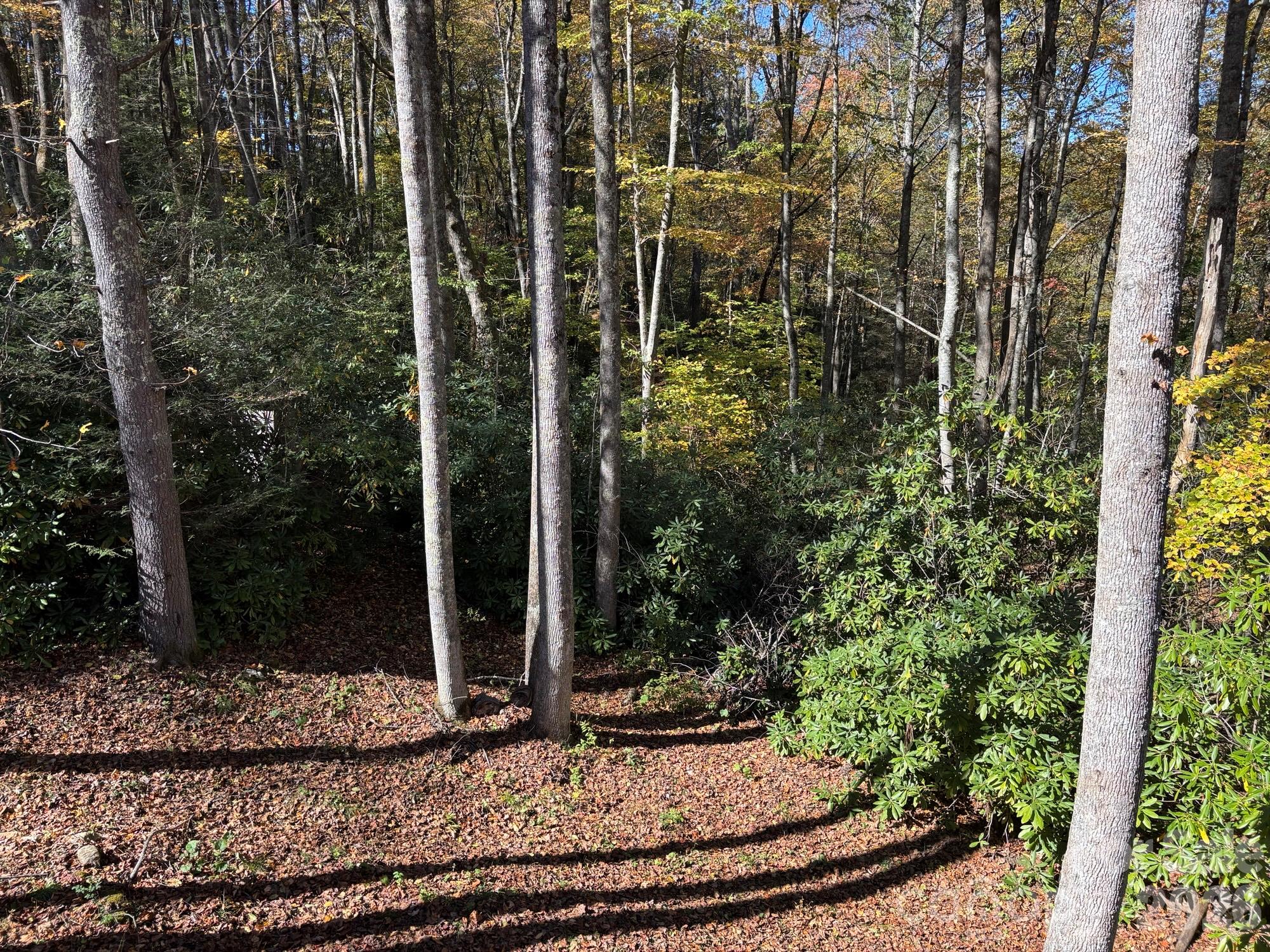 1661 Mckinney Mine Road