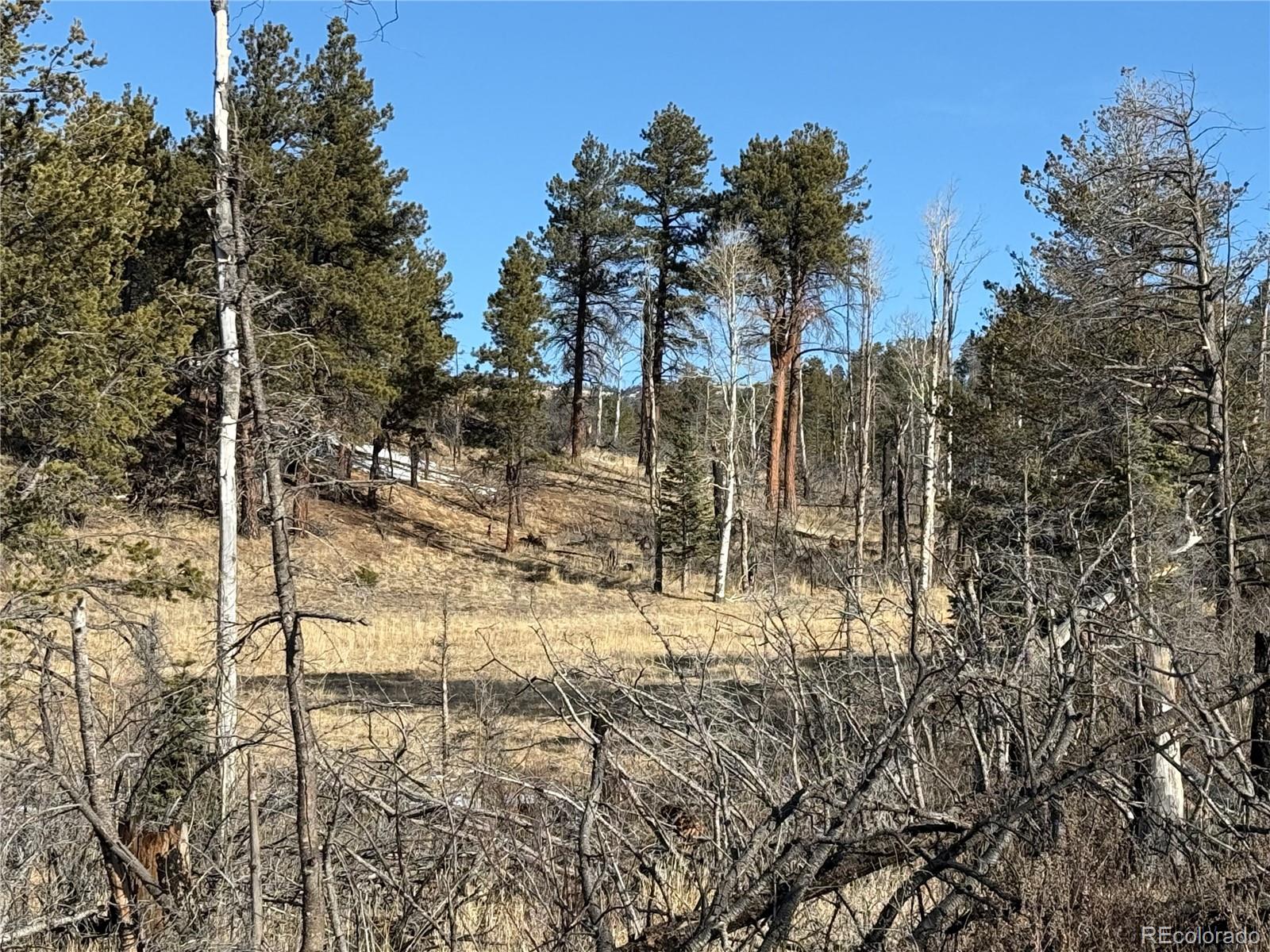 Lot 356 Spangle Drive