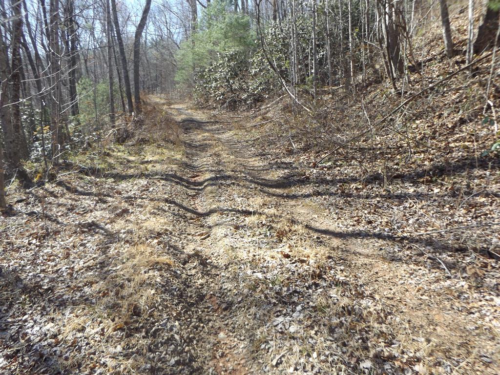 25.449 +/- acres with frontage on Pole Bridge Creek! Land is wooded with trails throughout for enjoyment! Land is also in 5 separate tracts being sold as one! If you are looking for recreational property or a location to build that dream cabin don't let this one pass with paved road frontage, power available and Pole Bridge Creek Frontage!