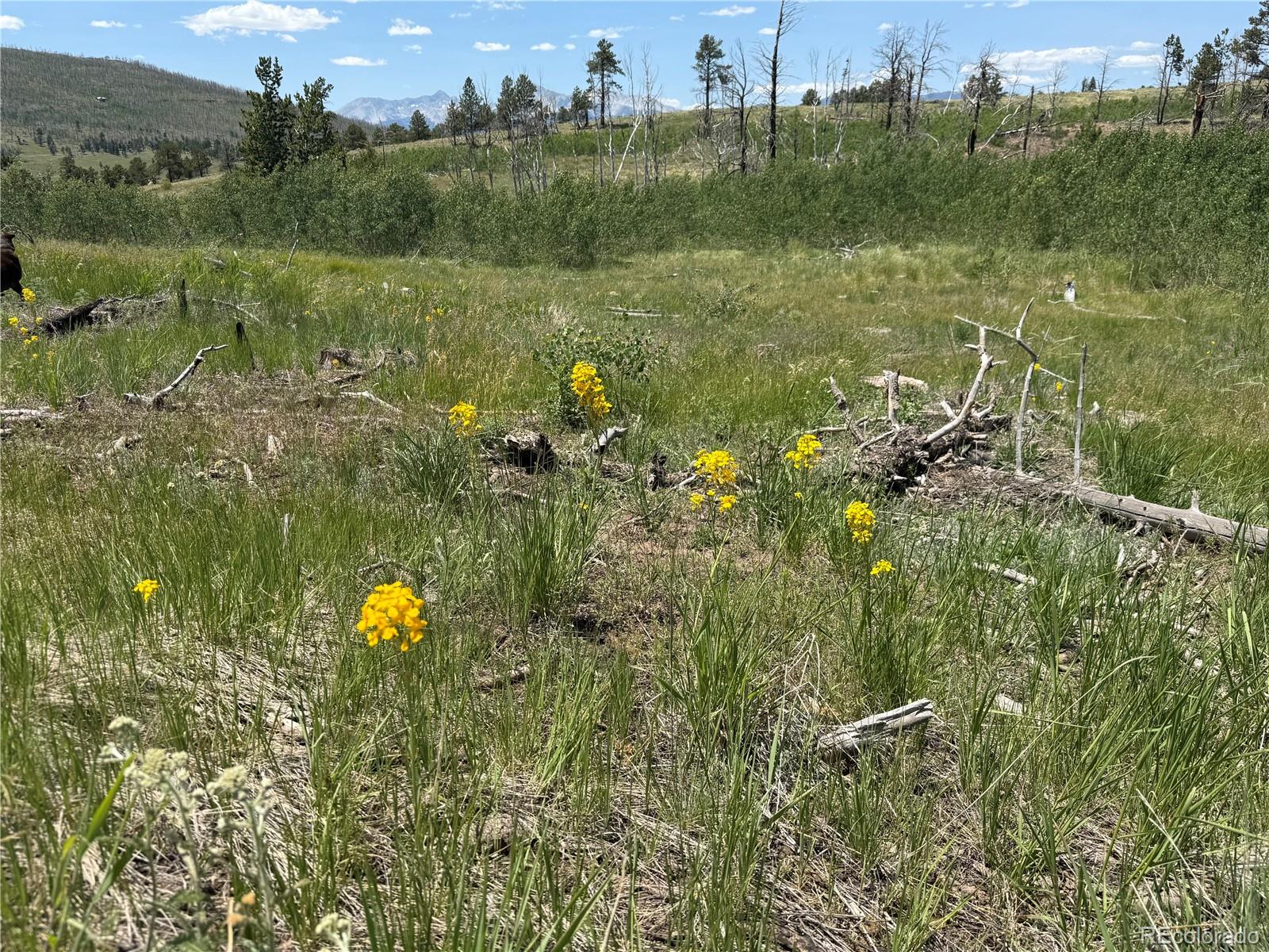 Lot 1103 Emery Loop