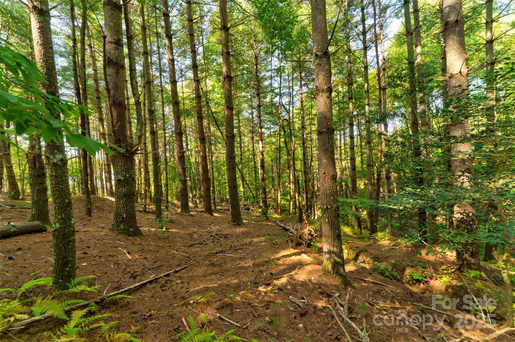 77 Whispering Pines Trail 82