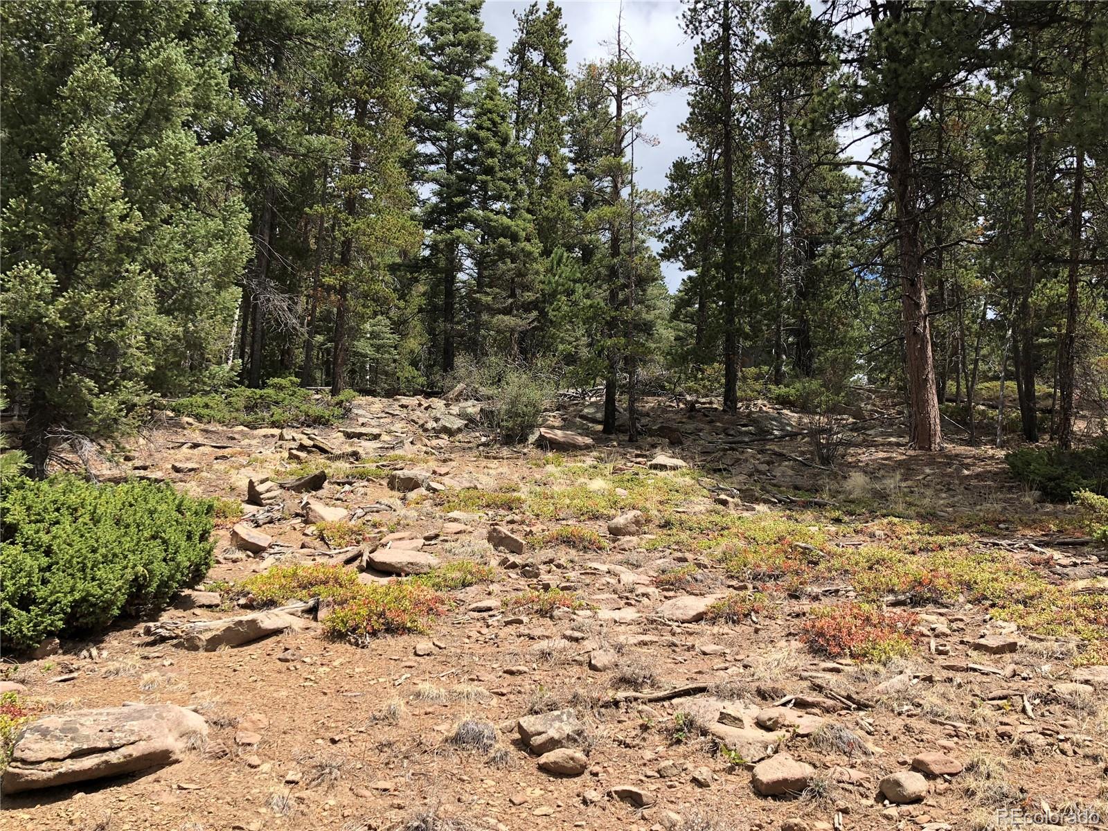 Lot 174 Ferris Place