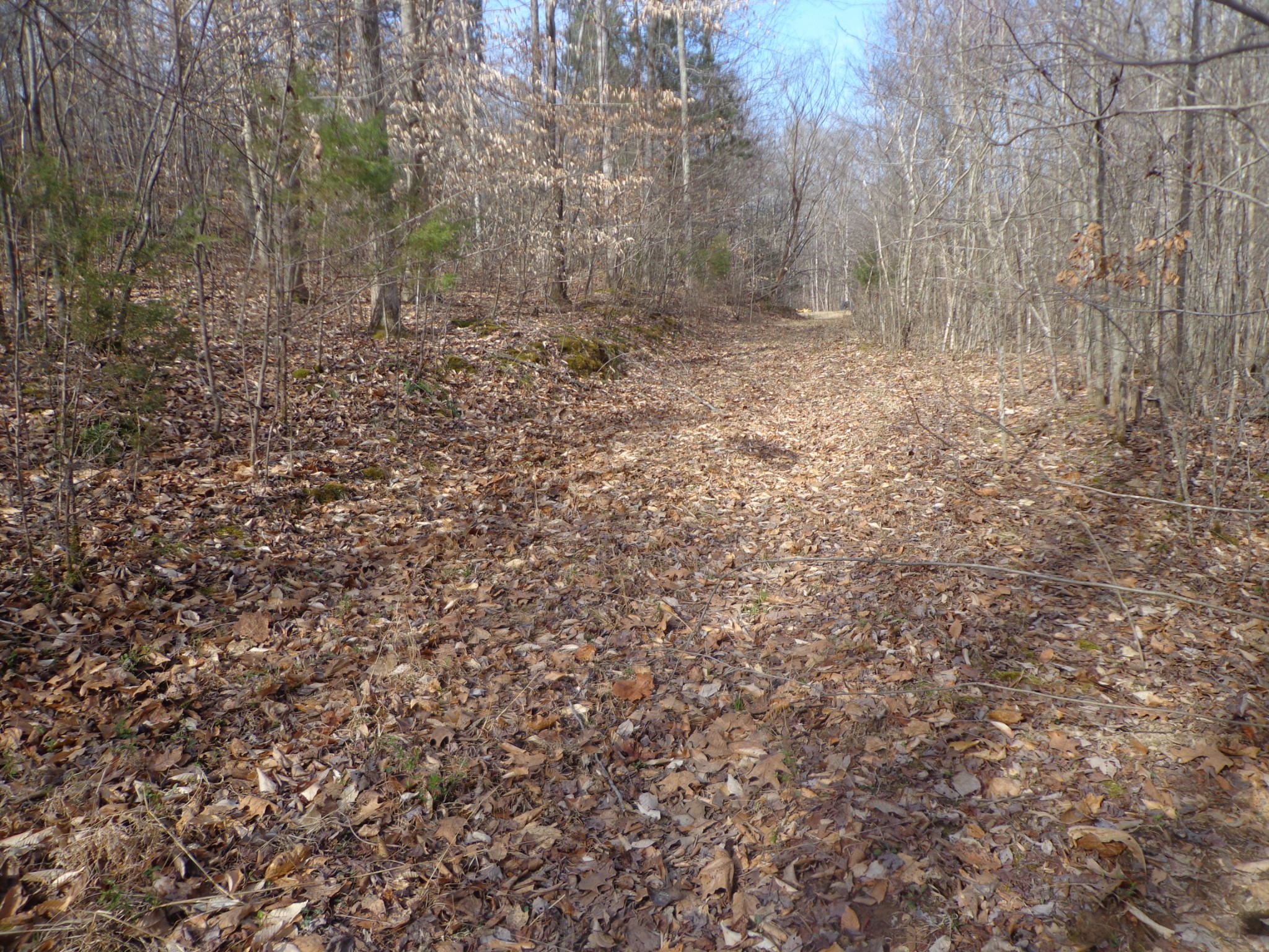 0 Ennis Branch Road