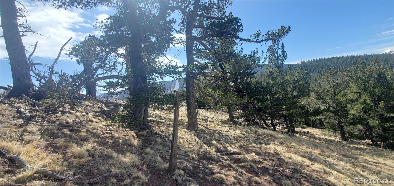 Lot 2740 Newman Place