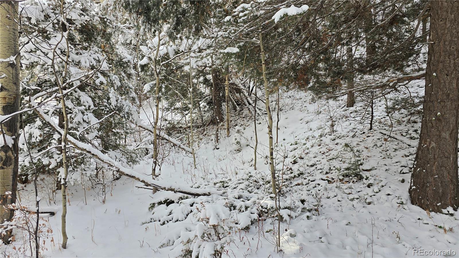 Lot 5540 Joy Road