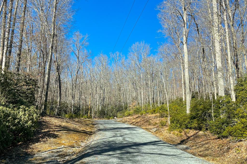 LOT 80B Cove Creek Road, Tazewell, VA 24651
