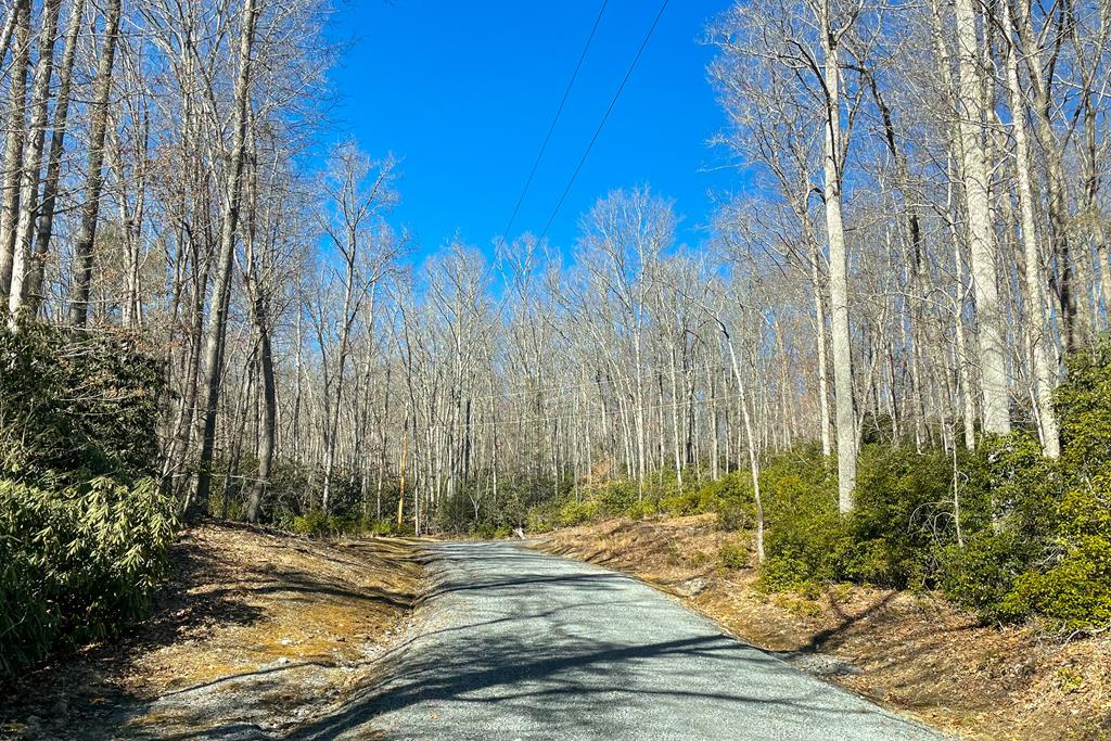 This is the perfect retreat to build your dream home. Relax outside on your deck in peace and quiet. Mountain views, abundant wildlife and a recreation common area for homeowners. HOA cover's road and common area maintenance. The gravel roads are very well maintained throughout the development as well as having gorgeous wooden fencing and big sturdy gates. The entrance to Cove Creek is only 13 minutes from the four-way in Tazewell where you will find the Carilion Community Hospital, YMCA, parks, restaurants, shopping and entertainment. If you enjoy adventure and some Sunday driving, you can also head down the "Back of the Dragon" to enjoy more beautiful mountain views and other places that this area has to offer. HOA $450.00/yr.