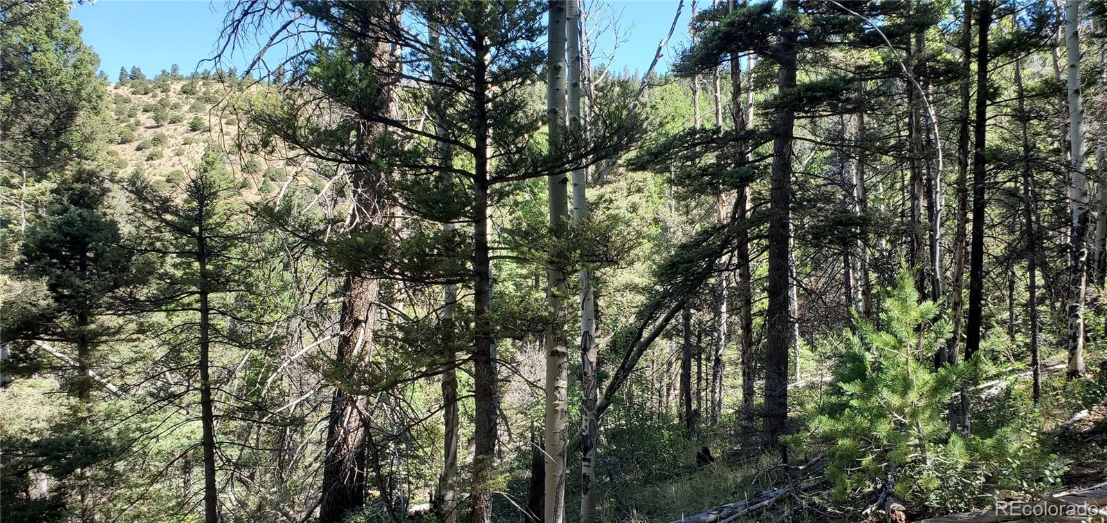 Lot 5610 Dawson Road