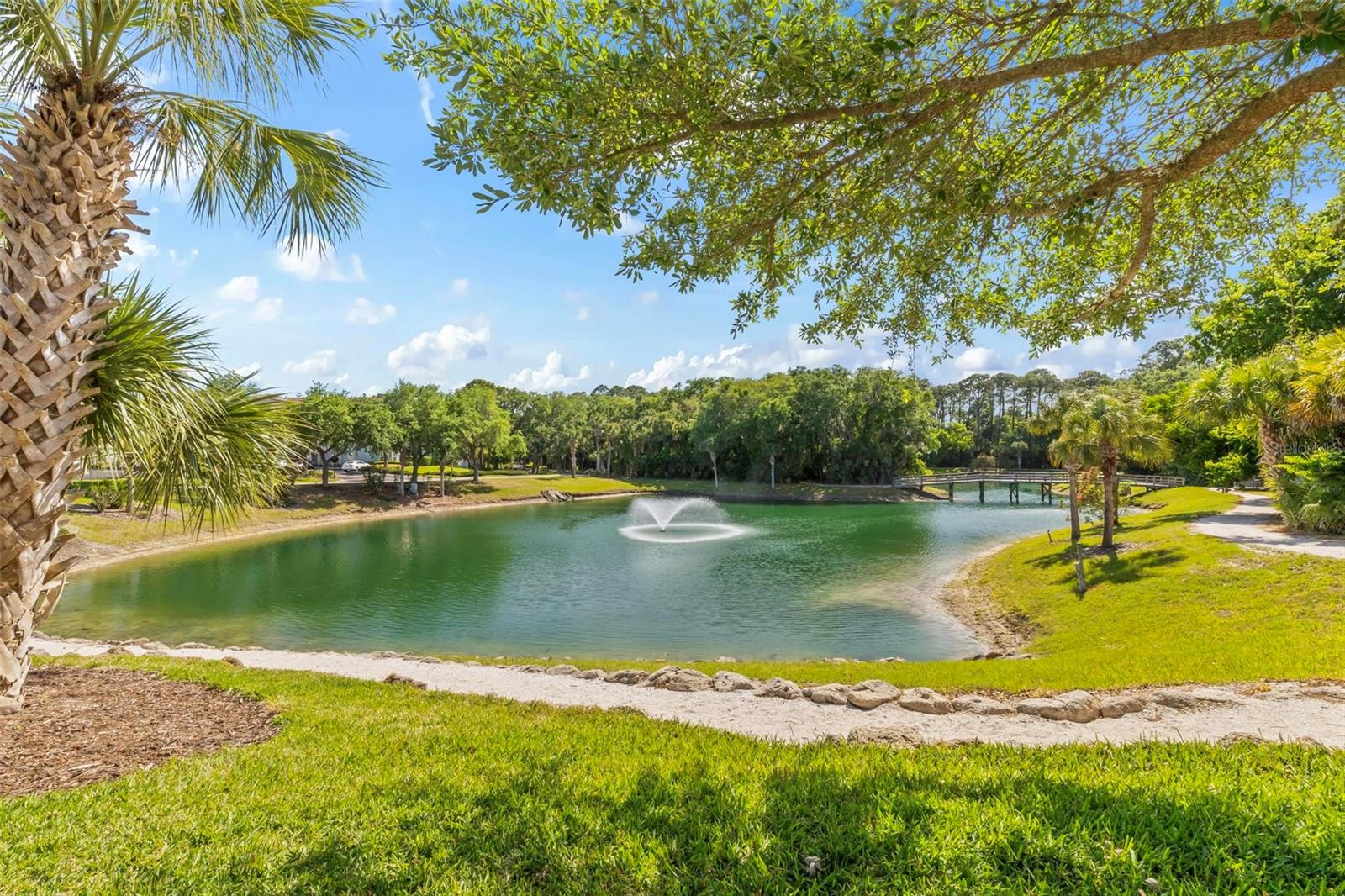 1100 Canopy Walk Lane 1111