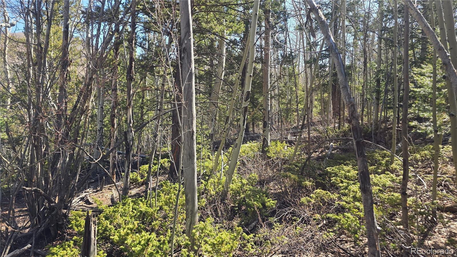 Lot 6708 Debbie Road