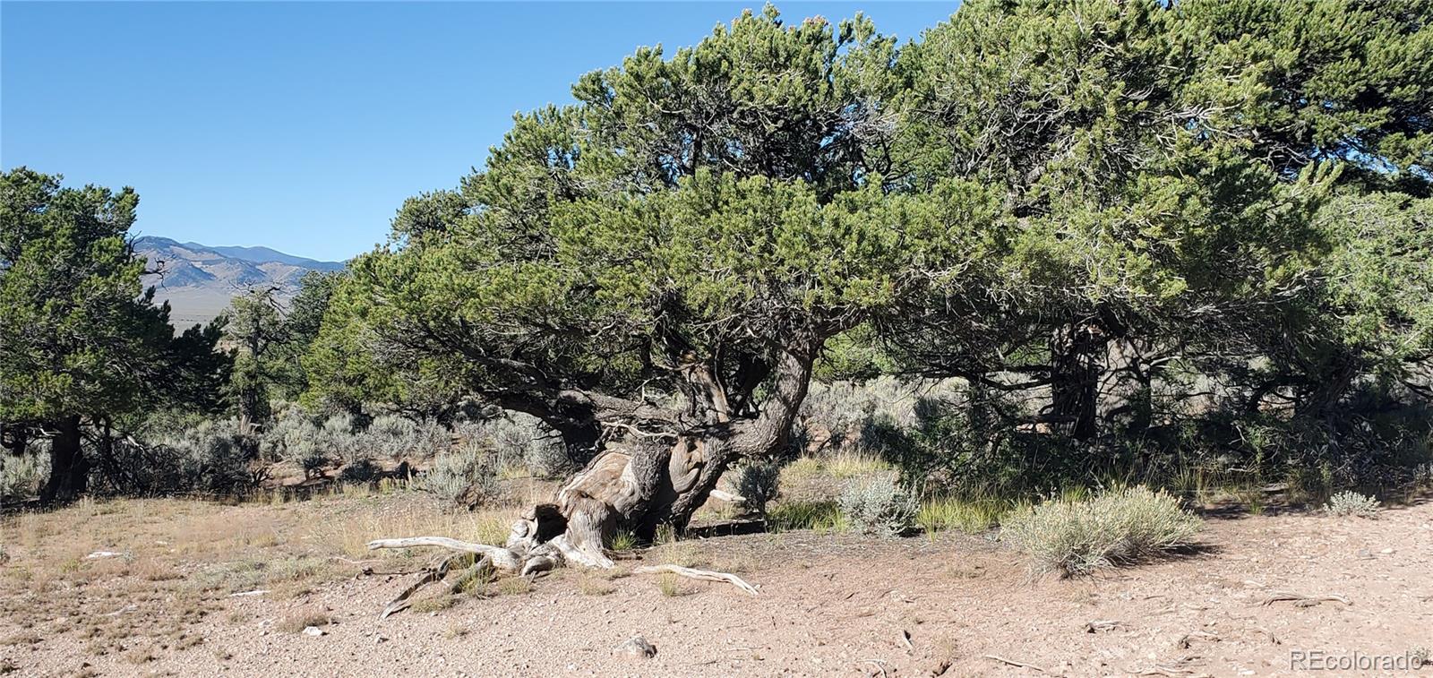 Lot 3475 Mitchell Road