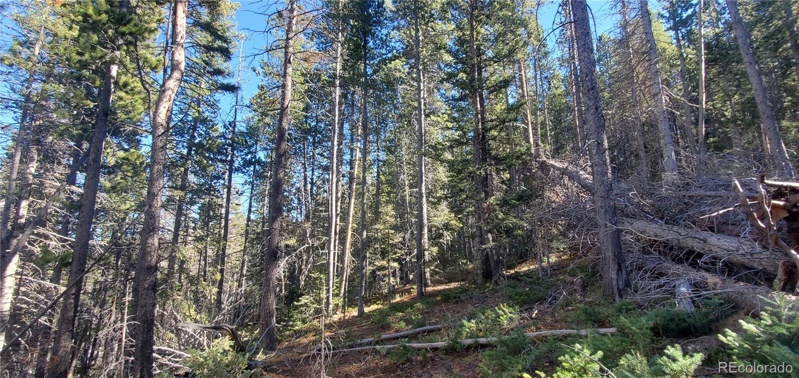 Lot 2999 & 2998 Drexler Place