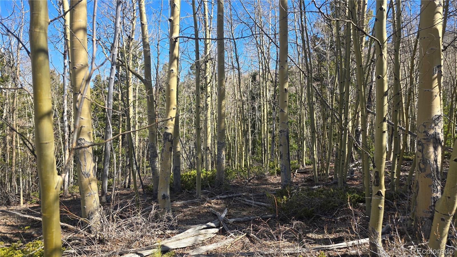 Lot 6708 Debbie Road