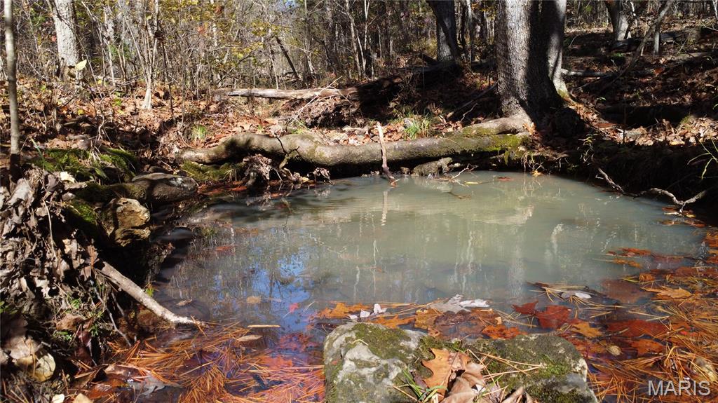 10256 Christina Trail