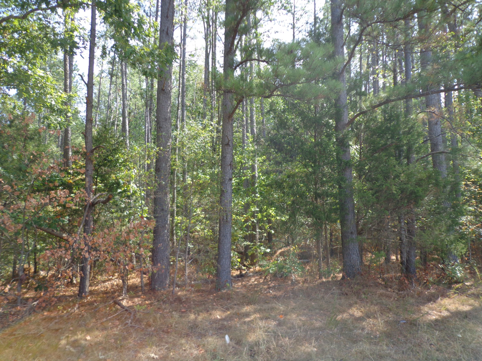 0 Tennessee Ridge Road