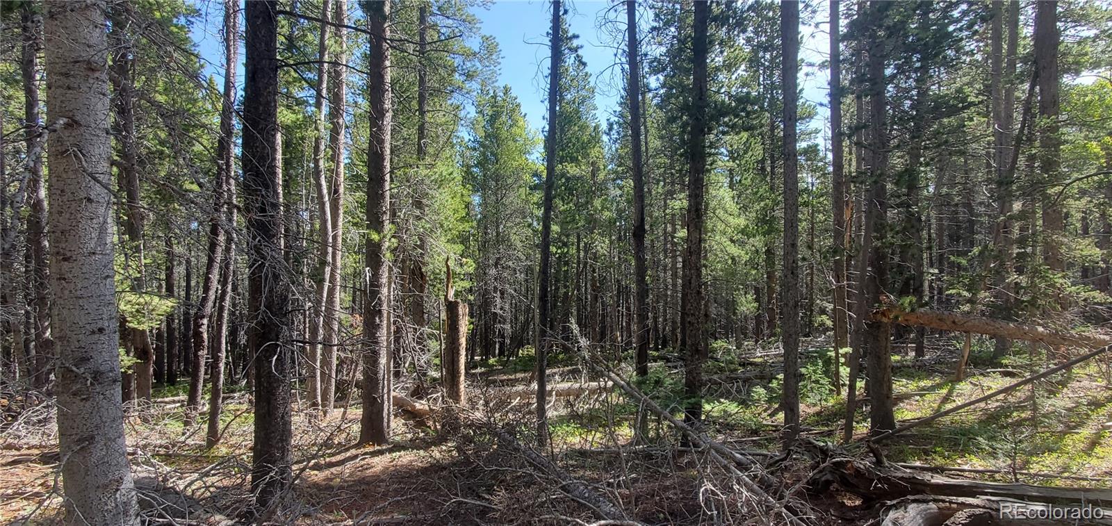 Lot 3031 Bolwell Lane