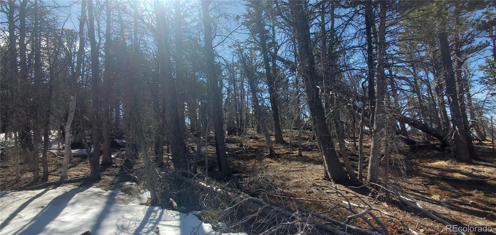Lot 2739 Newman Place