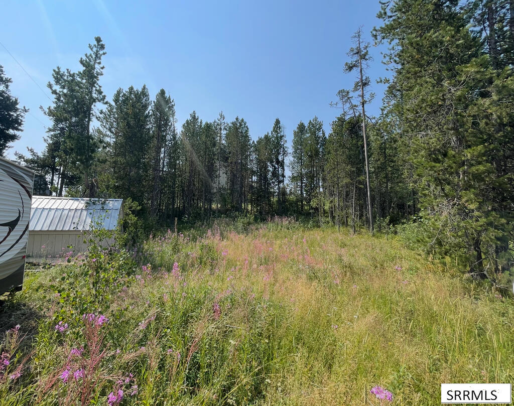 4114 S Big Springs Loop Road