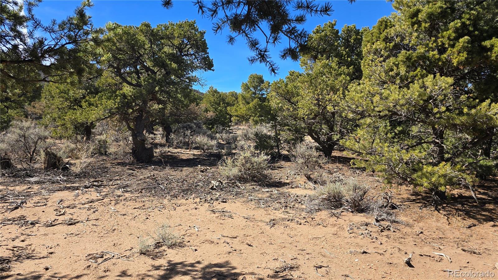 Lot 409 Williams Road