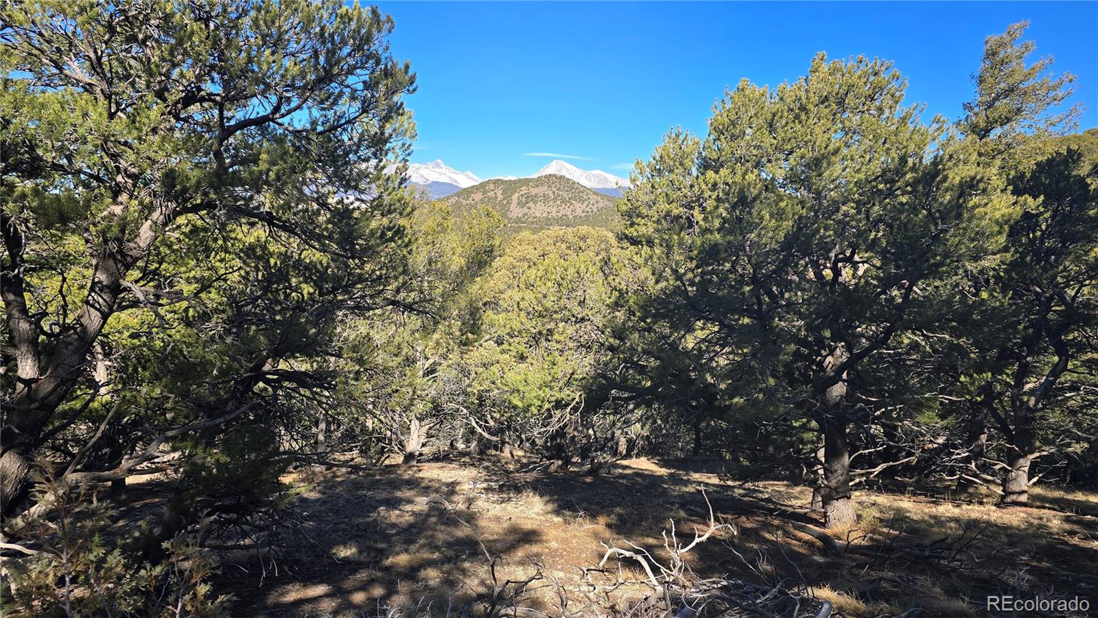 Lot 4510 Iannelli Road