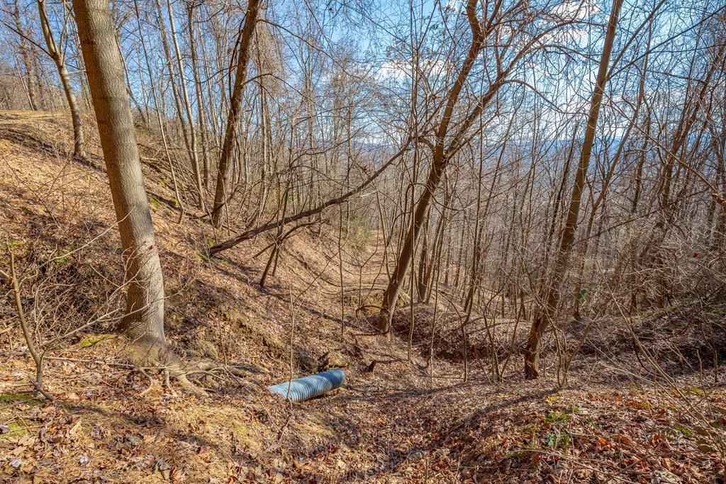 Lot 114 offers an incredible opportunity to own your own piece of the mountain at an affordable price. Whether you're looking for a long term investment, a future homesite, or a chance to get in on the ground floor of a growing mountain community, this property deserves a closer look. ACCESSIBLE BY PLATTED COMMON DRIVE THAT IS NOT YET IN PLACE. Enjoy breathtaking mountain views along with access to outstanding community amenities, including a stocked fishing pond, a scenic waterfall, and a charming covered bridge with a picnic area for family and friends to enjoy. The peaceful setting offers the perfect balance of privacy and convenience.  Located just 1 hour from Winston Salem, NC, 1 hour 17 minutes from Blacksburg, VA, 1 hour 30 minutes from Greensboro, NC, and 1 hour 48 minutes from Charlotte, NC. You'll also be less than 20 minutes from local grocery shopping and only 28 minutes from Mt. Airy, NC.  This lot has been surveyed by map only. Buyer may obtain a physical ground level survey at their own expense if desired. Inquire for more details about Lot 114 and available owner financing. This is your chance to secure a beautiful piece of the Blue Ridge before it's gone. This property does have light residential restrictions and is located within a subdivision.