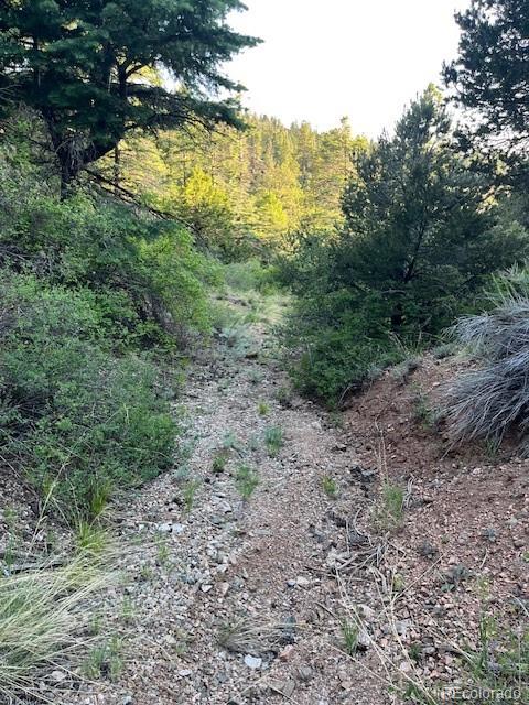 Lot 5693 Balleroy Road