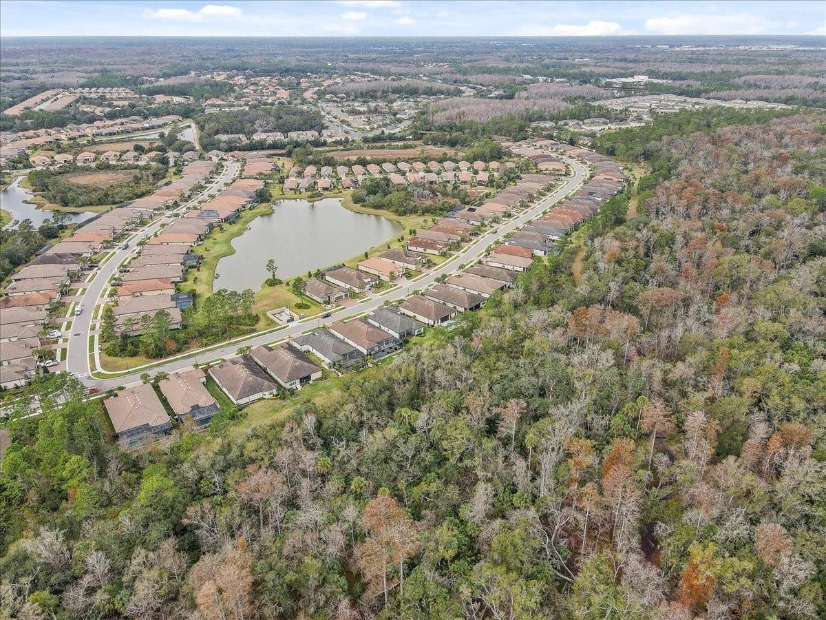 20113 Umbria Hill Drive