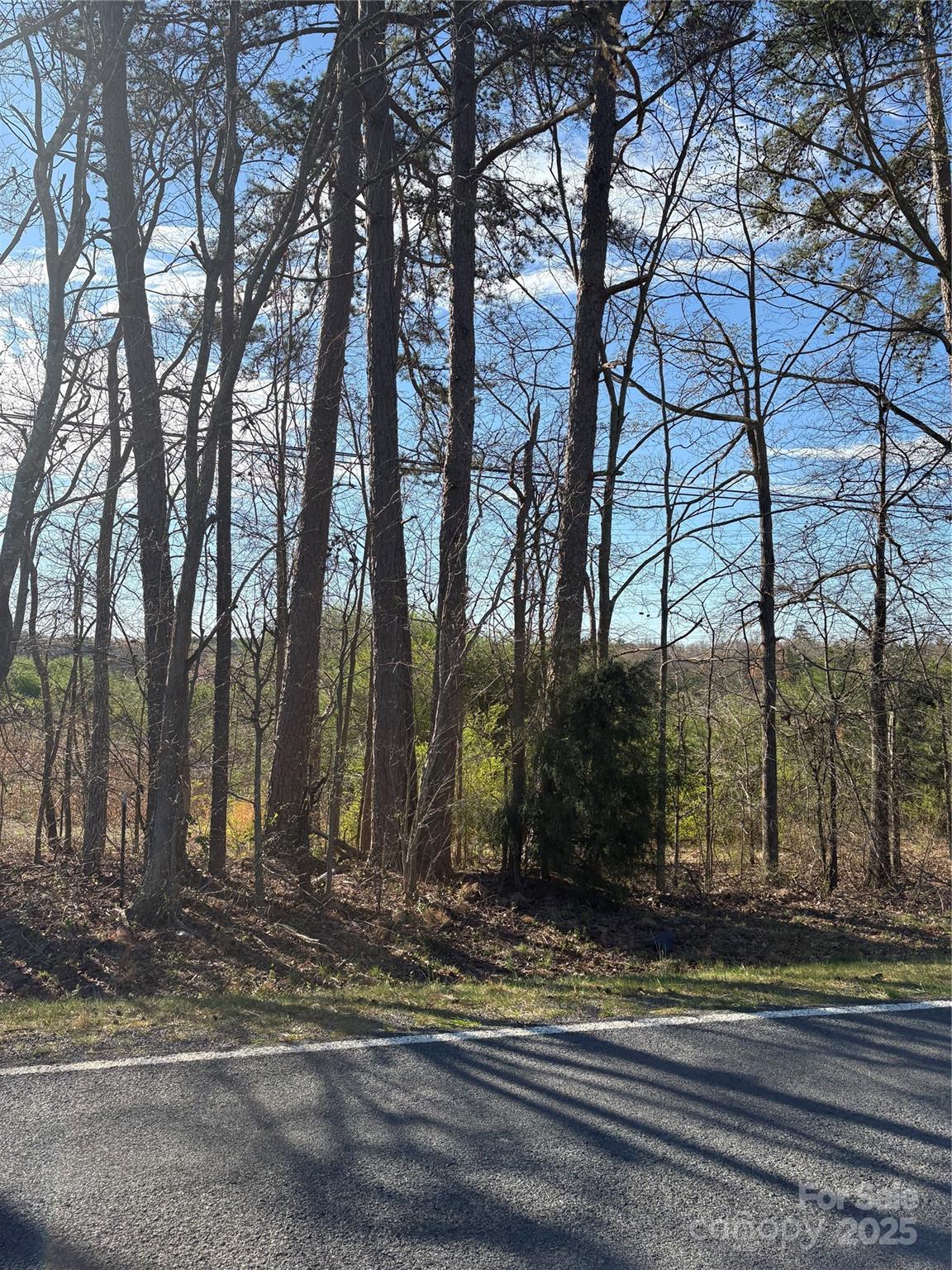 Beautiful Silver Road in Stanly County! 26.38 acres ideal for an estate or investment for future development! Bring your house plans and build your dream! Gentle rolling terrain, some trees in spotted areas but mostly open. Incredible home sites all around. Farm country! Don't let this opportunity pass you by.