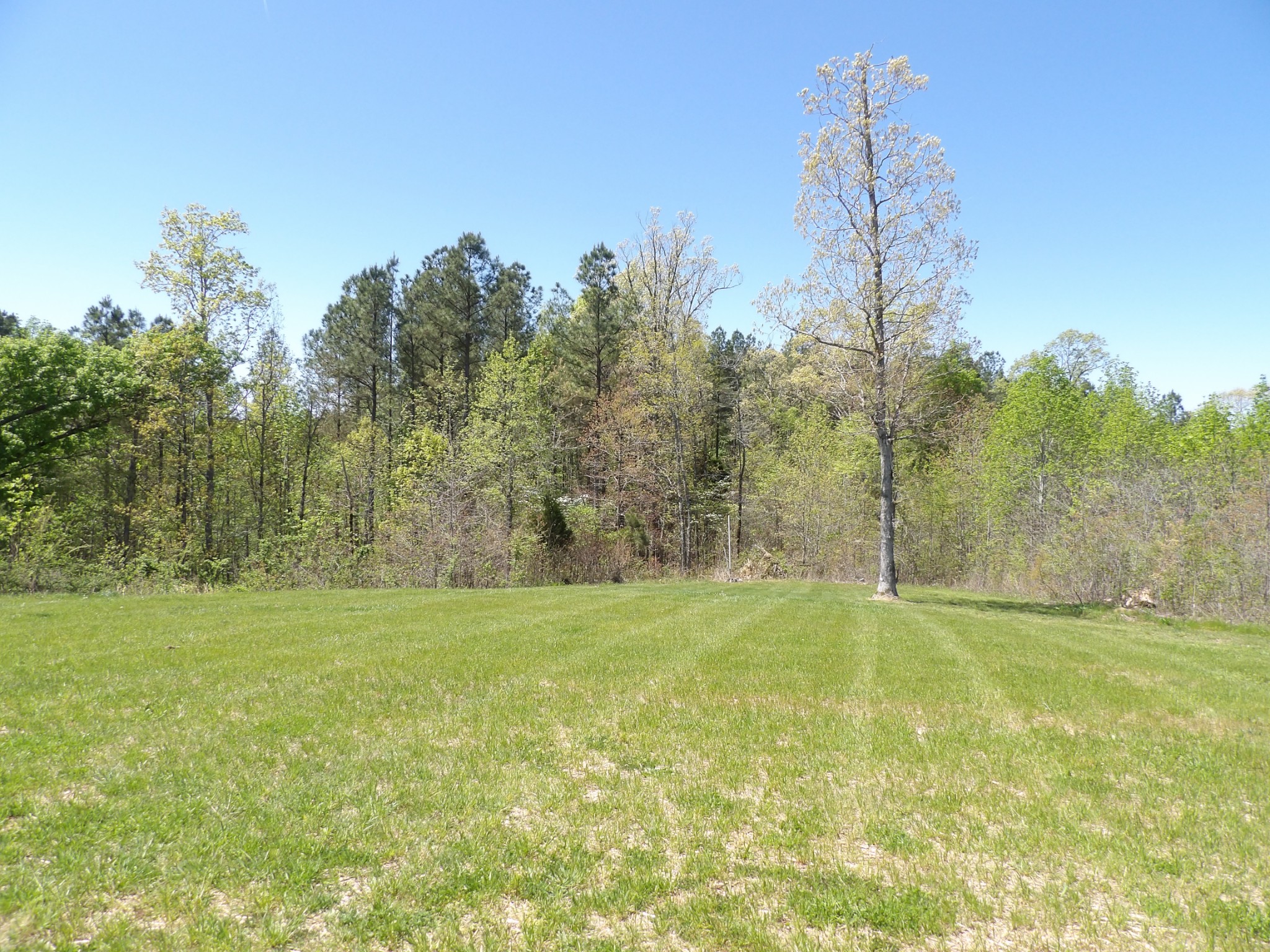 520 Young Rd