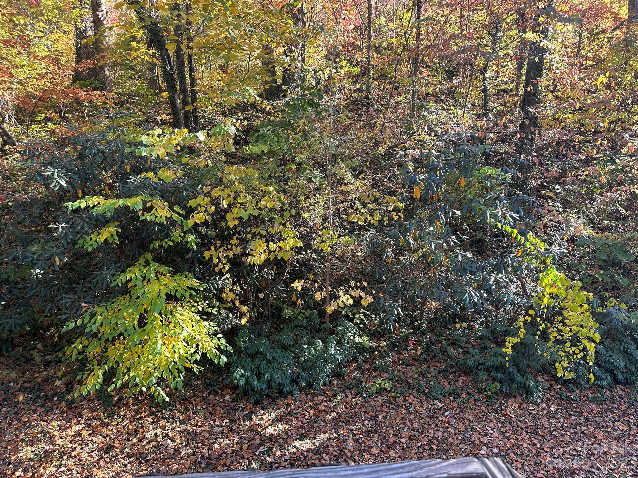 1305 Hibriten Drive