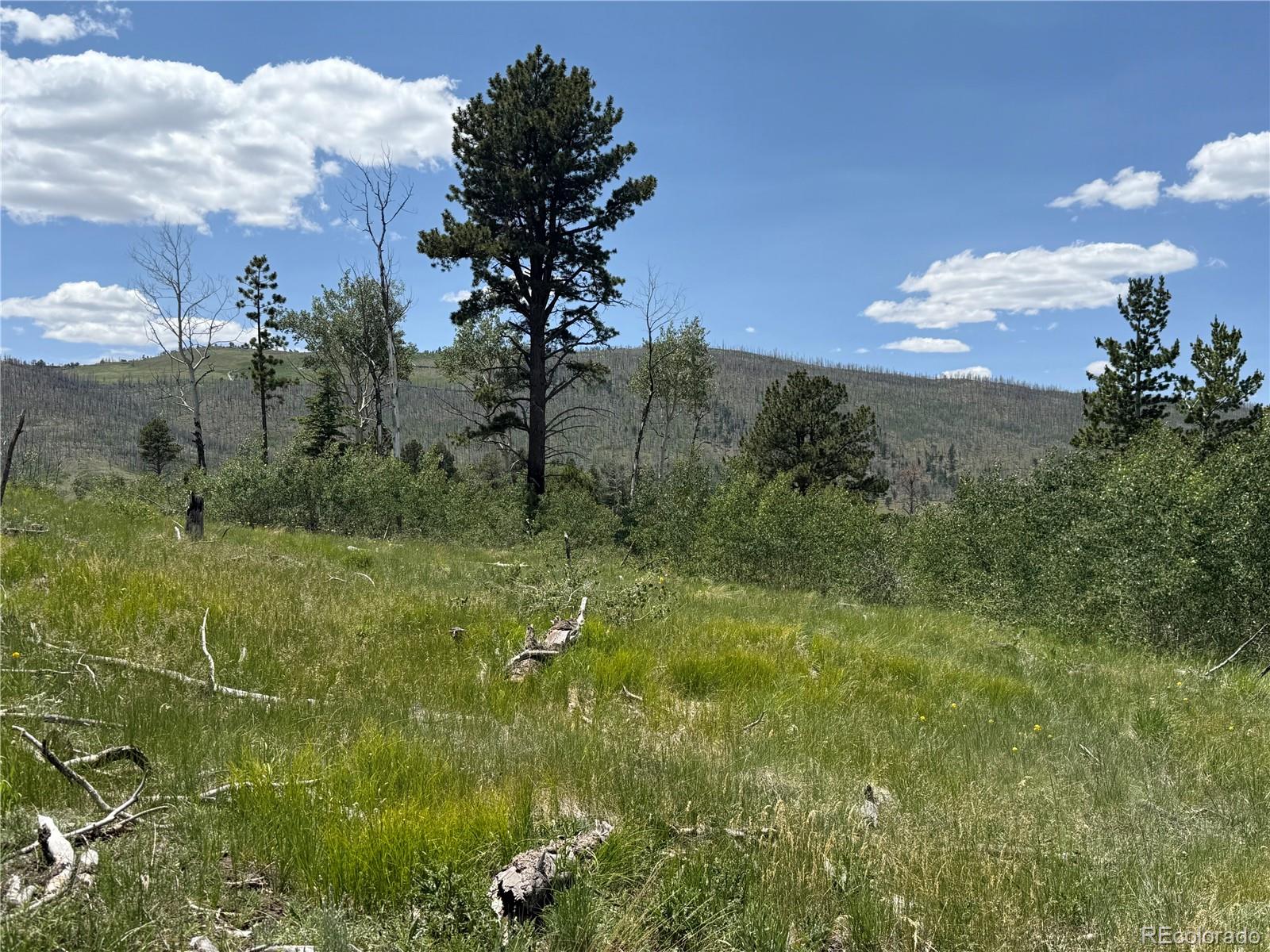 Lot 1103 Emery Loop
